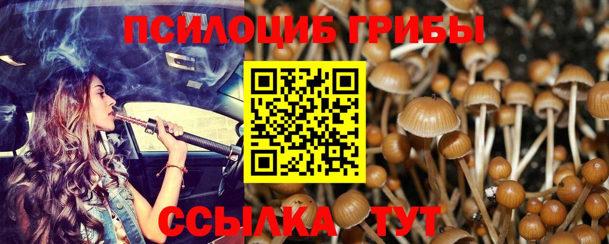 Псилоцибиновые грибы GOLDEN TEACHER Алушта